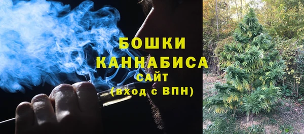 мдпв Сатка