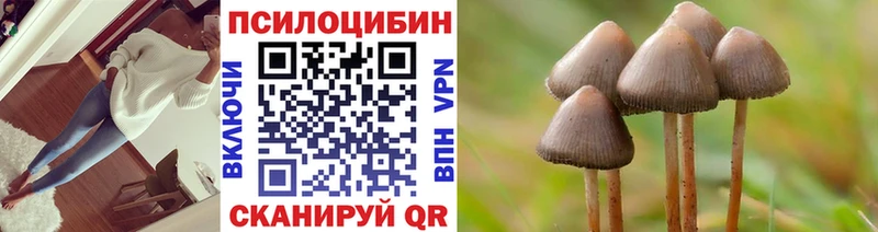 Псилоцибиновые грибы MAGIC MUSHROOMS Купить Верхотурье